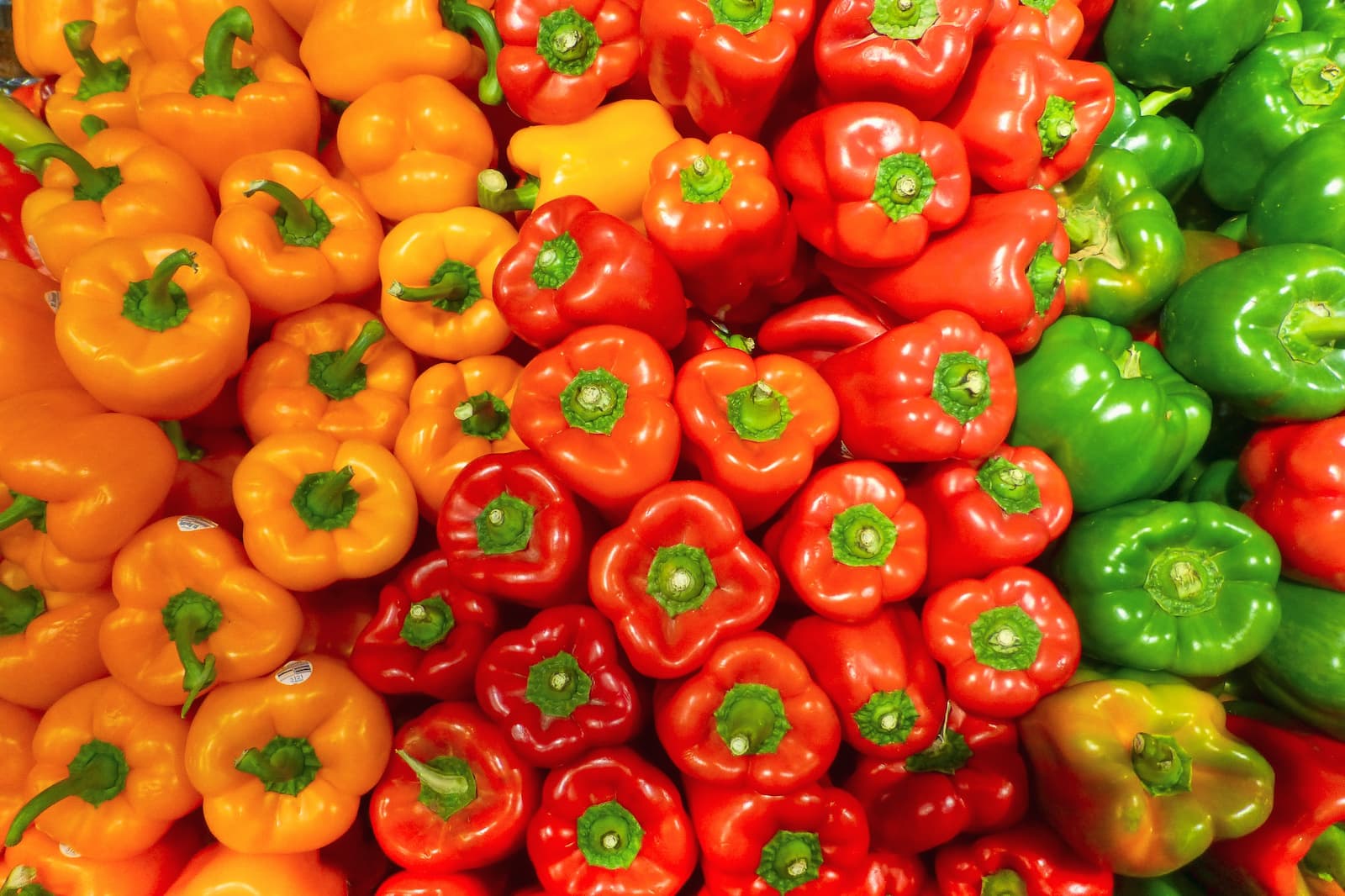 Pepper: color and flavor in one of the most popular products of the Mediterranean diet