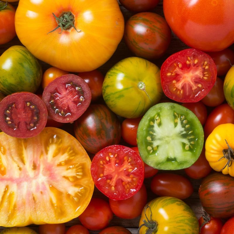 El tomate, un alimento sano e ideal para el verano