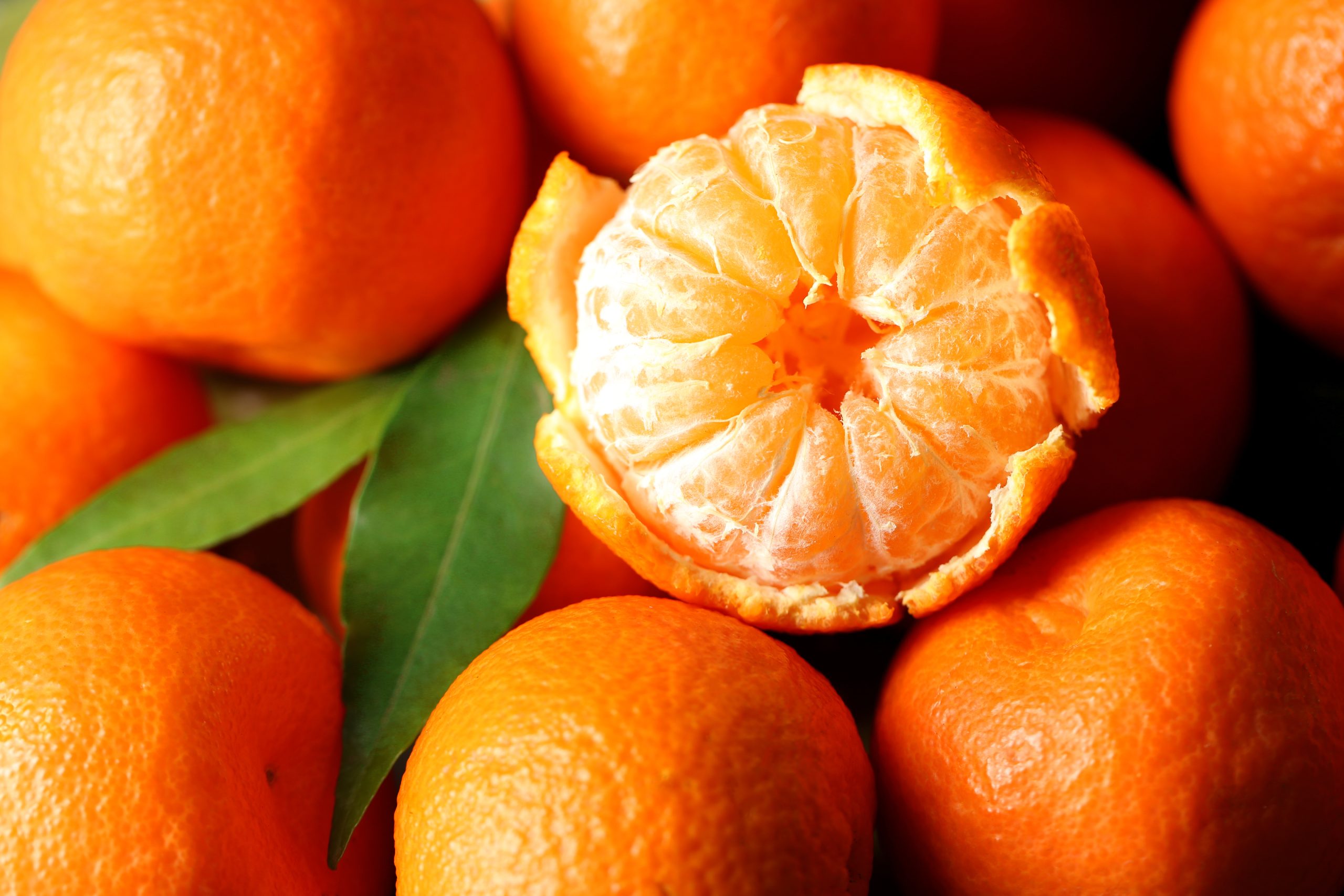 Tangerines, an ideal autumn citrus for daily consumptio